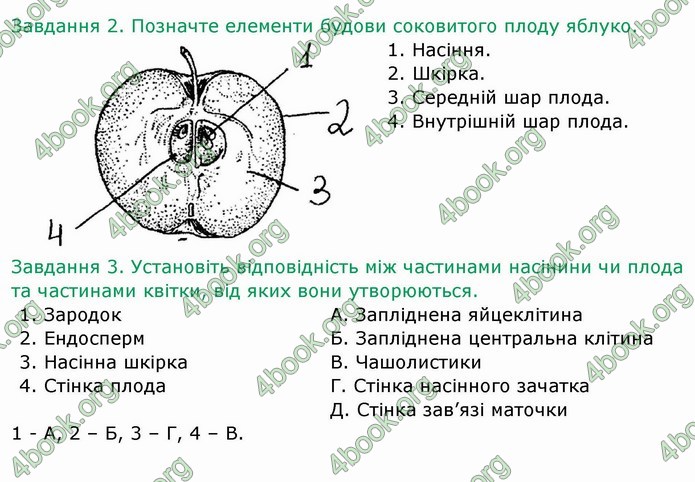 ГДЗ Зошит Біологія 6 клас Мечник