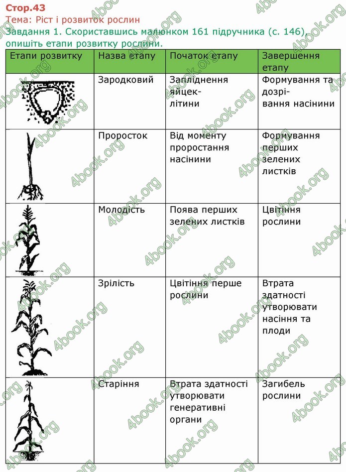 ГДЗ Зошит Біологія 6 клас Мечник