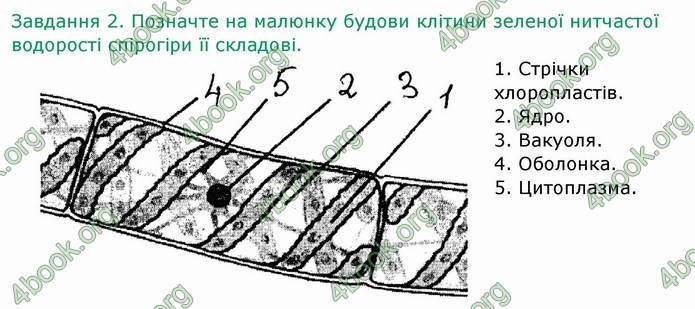 ГДЗ Зошит Біологія 6 клас Мечник