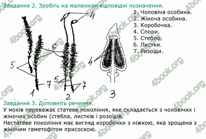 ГДЗ Зошит Біологія 6 клас Мечник