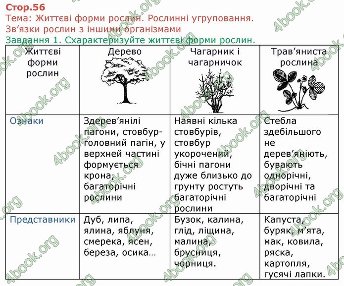 ГДЗ Зошит Біологія 6 клас Мечник