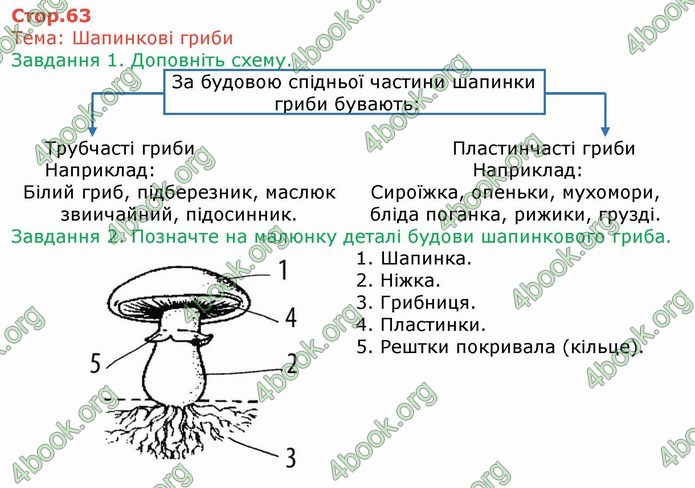 ГДЗ Зошит Біологія 6 клас Мечник