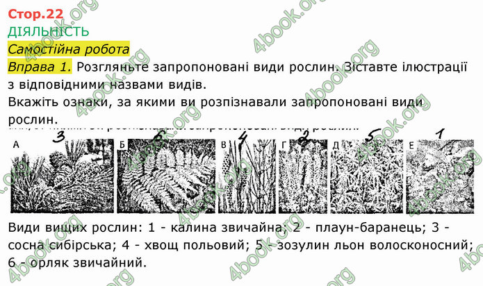 Решебник Зошит Біологія 10 клас Соболь. ГДЗ