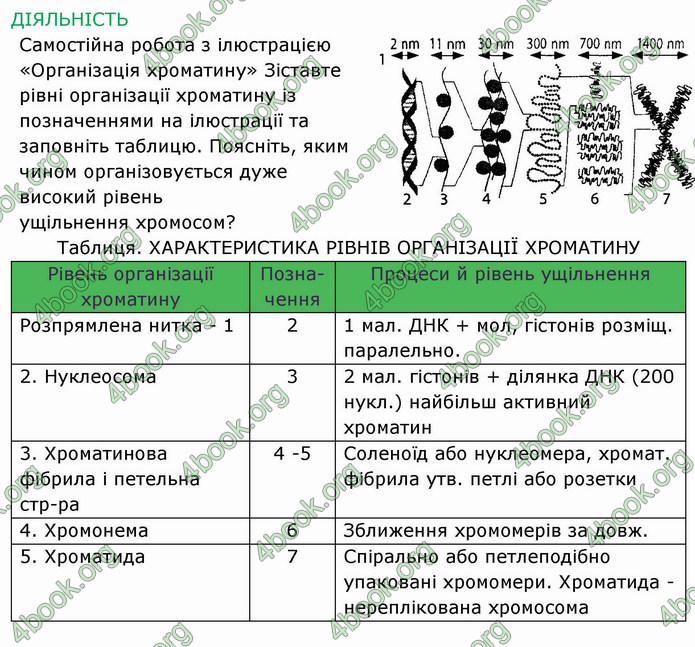 Решебник Зошит Біологія 10 клас Соболь. ГДЗ