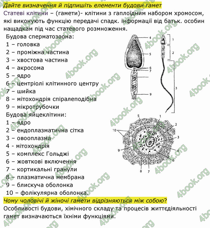 Решебник Зошит Біологія 10 клас Соболь. ГДЗ