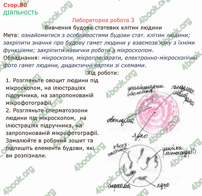 Решебник Зошит Біологія 10 клас Соболь. ГДЗ