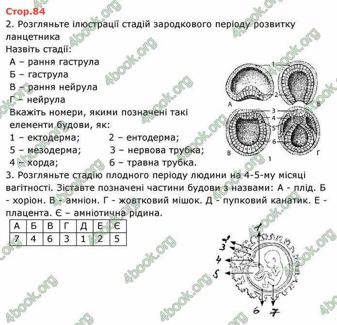 Решебник Зошит Біологія 10 клас Соболь. ГДЗ