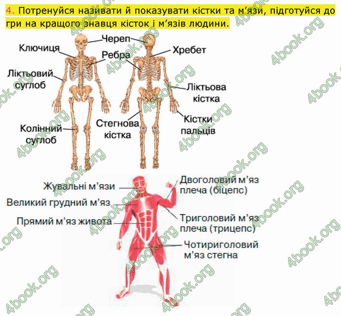 ГДЗ Пізнаємо природу 5 клас Коршевнюк