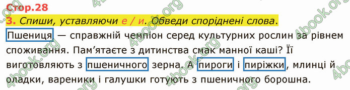 ГДЗ Зошит Українська мова 4 клас Большакова