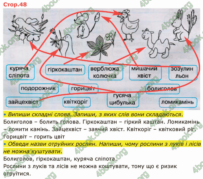 ГДЗ Зошит Українська мова 4 клас Большакова