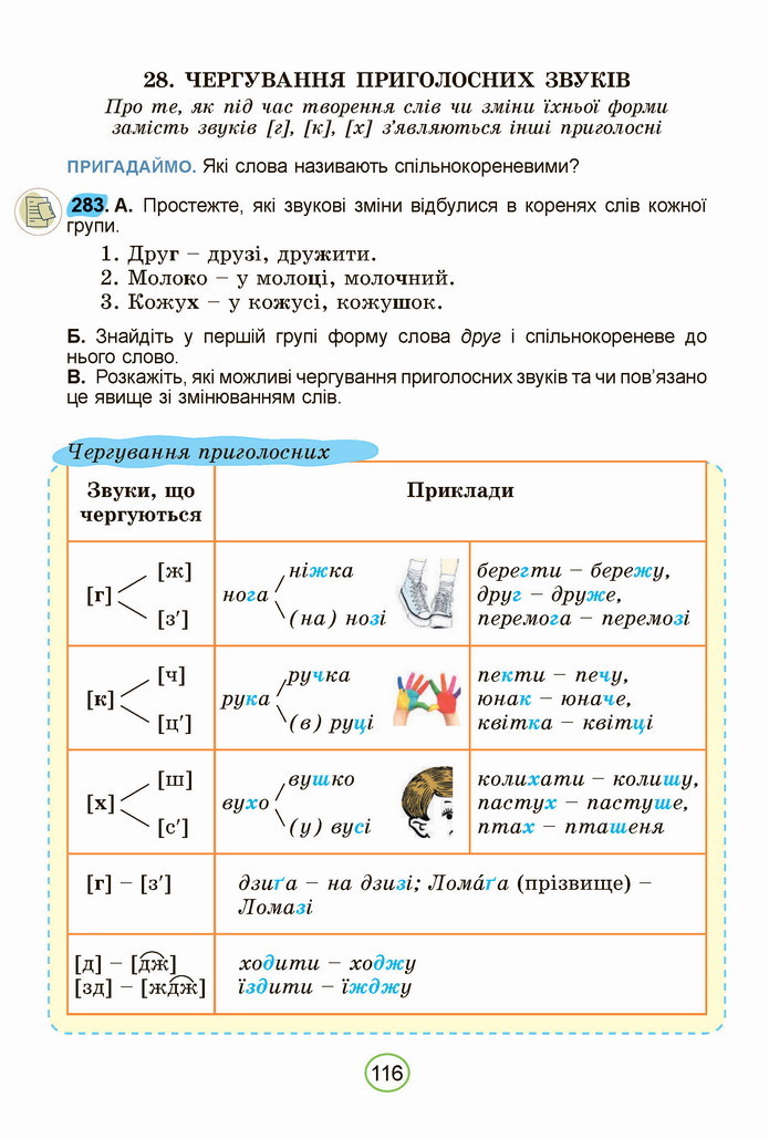 Українська мова 5 клас Заболотний 2022