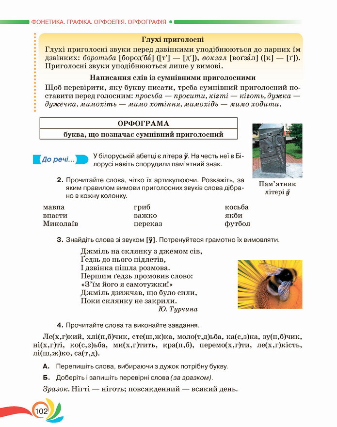 Українська мова 5 клас Авраменко 2022