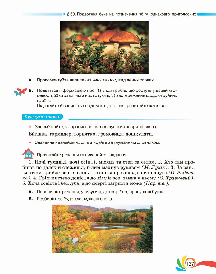 Українська мова 5 клас Авраменко 2022