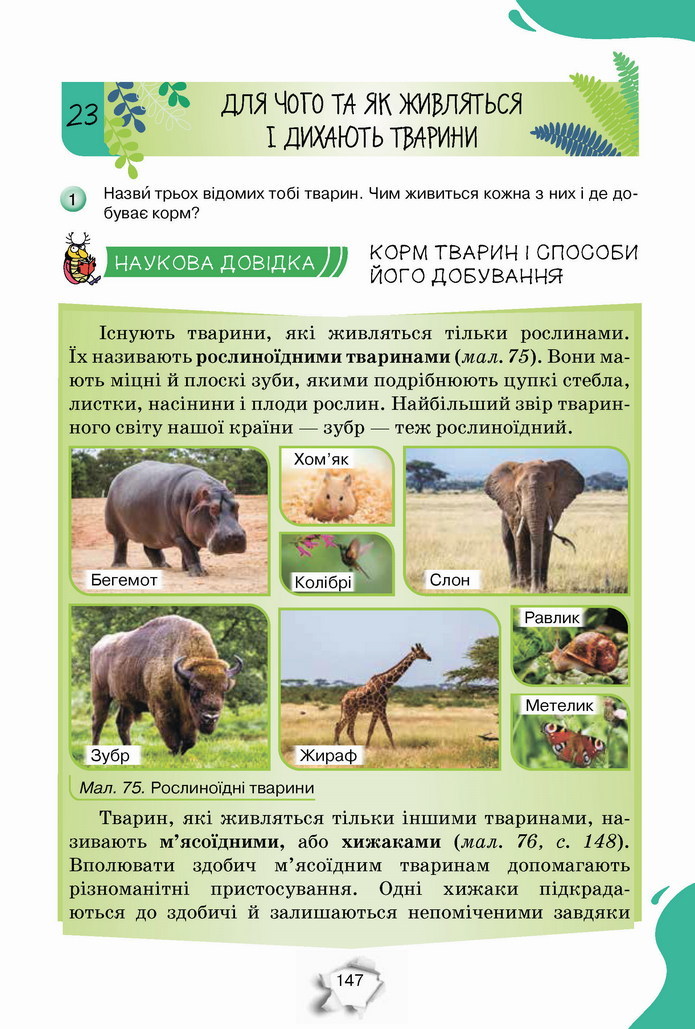 Пізнаємо природу 5 клас Коршевнюк 2022
