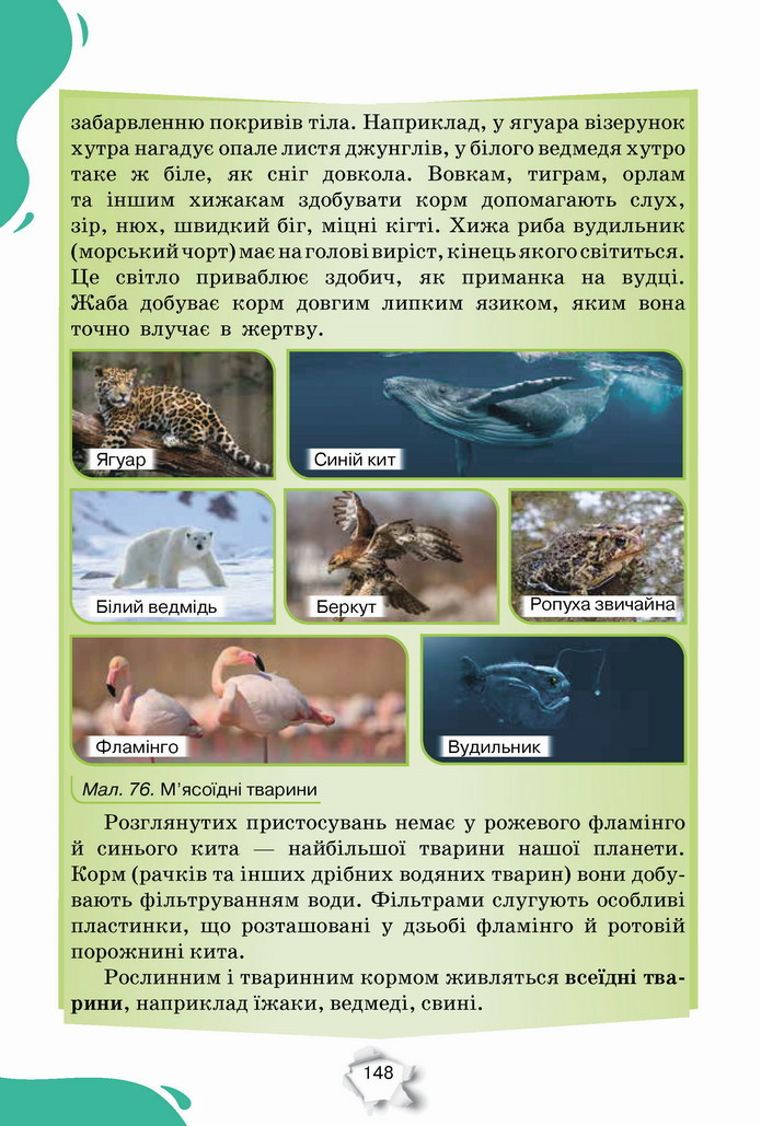 Пізнаємо природу 5 клас Коршевнюк 2022