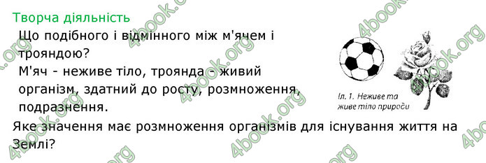 Відповіді Зошит Біологія 6 клас Соболь. ГДЗ