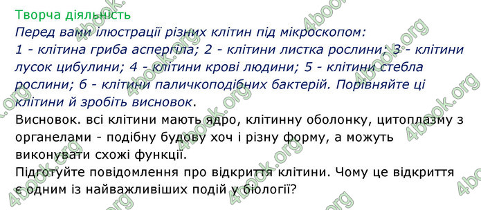 Відповіді Зошит Біологія 6 клас Соболь. ГДЗ