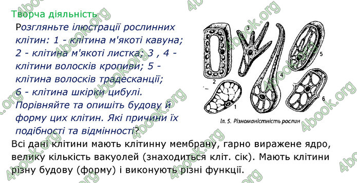 Відповіді Зошит Біологія 6 клас Соболь. ГДЗ