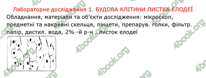 Відповіді Зошит Біологія 6 клас Соболь. ГДЗ