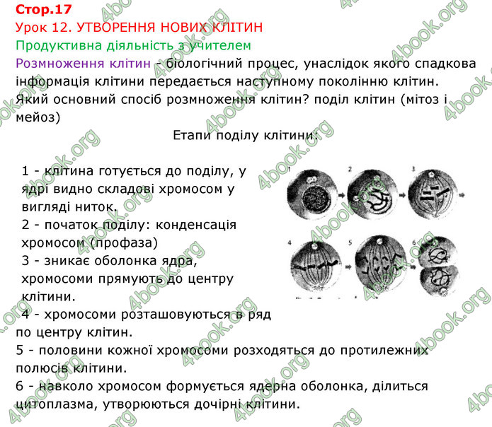 Відповіді Зошит Біологія 6 клас Соболь. ГДЗ