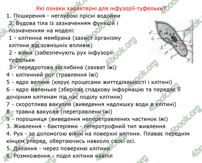 Відповіді Зошит Біологія 6 клас Соболь. ГДЗ