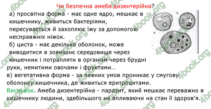 Відповіді Зошит Біологія 6 клас Соболь. ГДЗ