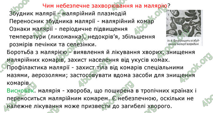 Відповіді Зошит Біологія 6 клас Соболь. ГДЗ