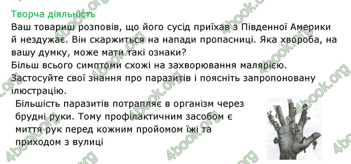 Відповіді Зошит Біологія 6 клас Соболь. ГДЗ