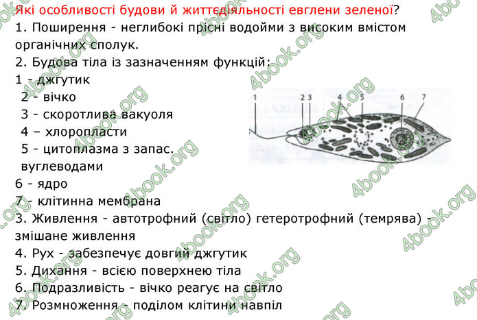 Відповіді Зошит Біологія 6 клас Соболь. ГДЗ