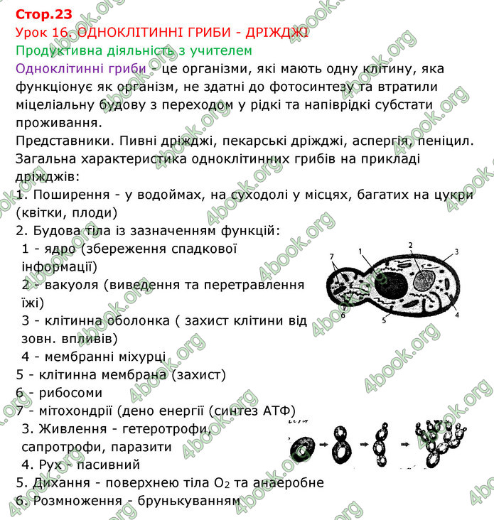 Відповіді Зошит Біологія 6 клас Соболь. ГДЗ