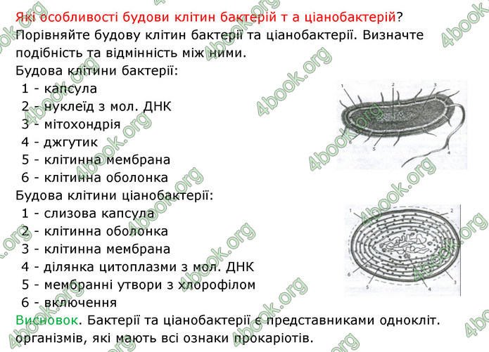 Відповіді Зошит Біологія 6 клас Соболь. ГДЗ