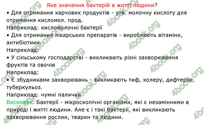 Відповіді Зошит Біологія 6 клас Соболь. ГДЗ