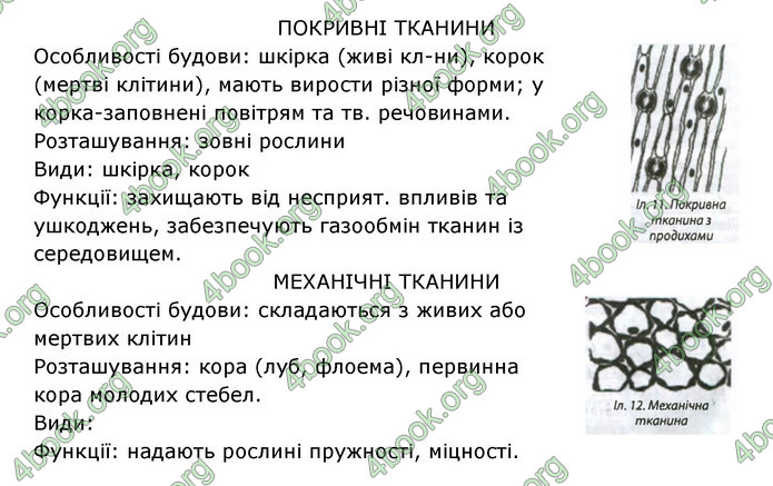 Відповіді Зошит Біологія 6 клас Соболь. ГДЗ