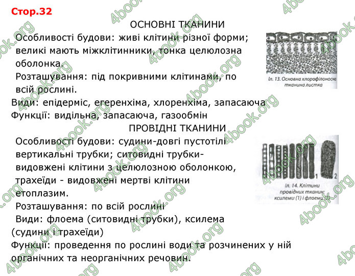 Відповіді Зошит Біологія 6 клас Соболь. ГДЗ