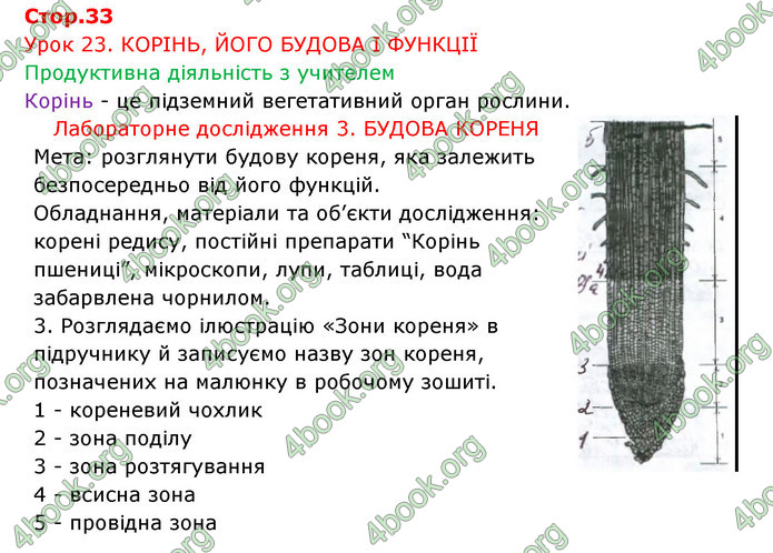 Відповіді Зошит Біологія 6 клас Соболь. ГДЗ