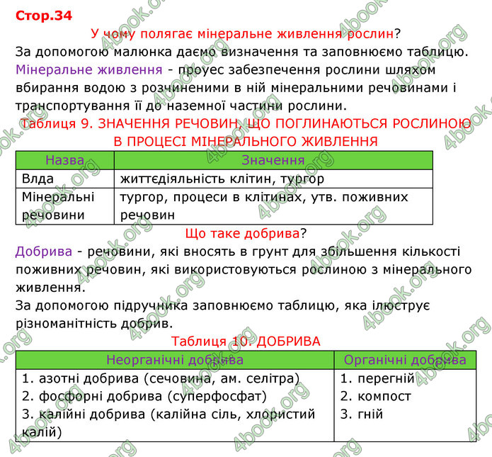 Відповіді Зошит Біологія 6 клас Соболь. ГДЗ