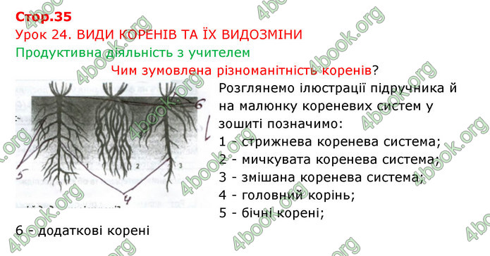 Відповіді Зошит Біологія 6 клас Соболь. ГДЗ