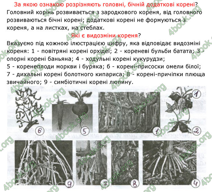 Відповіді Зошит Біологія 6 клас Соболь. ГДЗ