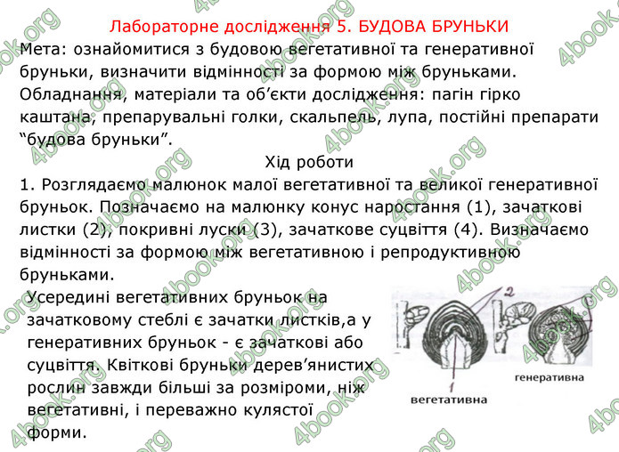 Відповіді Зошит Біологія 6 клас Соболь. ГДЗ