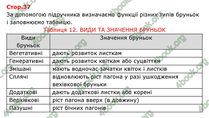 Відповіді Зошит Біологія 6 клас Соболь. ГДЗ