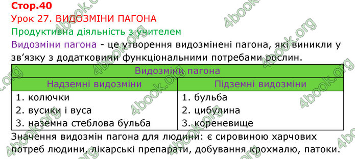 Відповіді Зошит Біологія 6 клас Соболь. ГДЗ