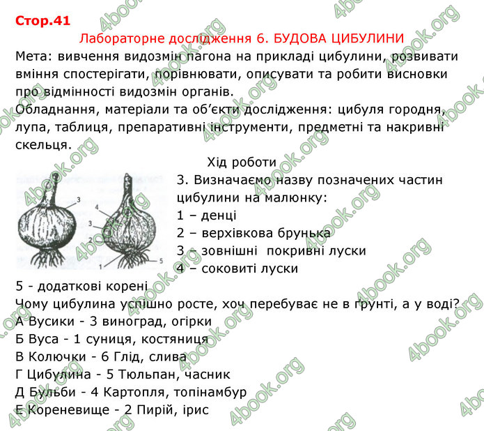 Відповіді Зошит Біологія 6 клас Соболь. ГДЗ