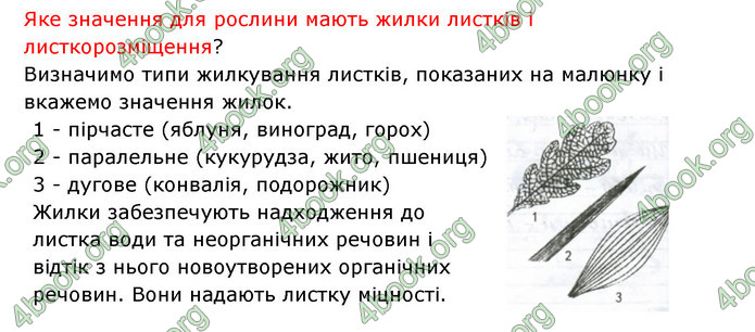 Відповіді Зошит Біологія 6 клас Соболь. ГДЗ