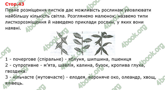 Відповіді Зошит Біологія 6 клас Соболь. ГДЗ