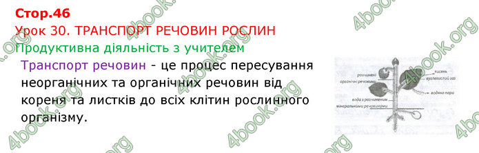 Відповіді Зошит Біологія 6 клас Соболь. ГДЗ