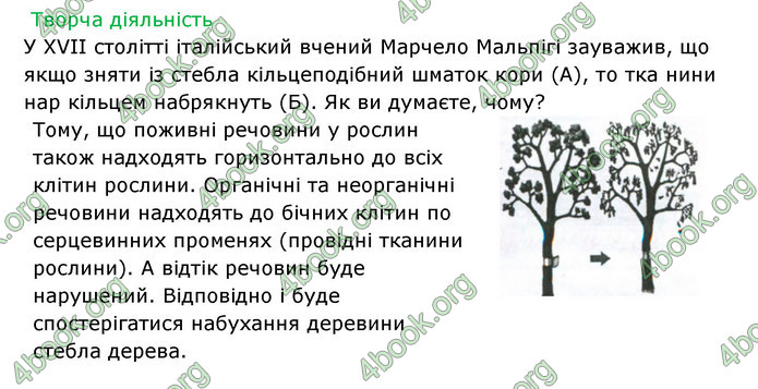 Відповіді Зошит Біологія 6 клас Соболь. ГДЗ