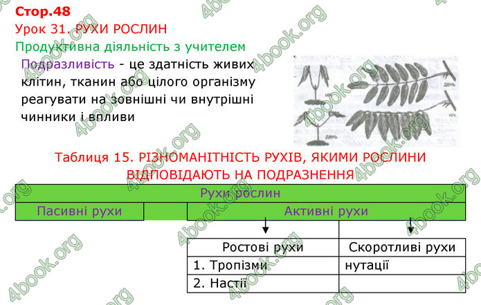 Відповіді Зошит Біологія 6 клас Соболь. ГДЗ