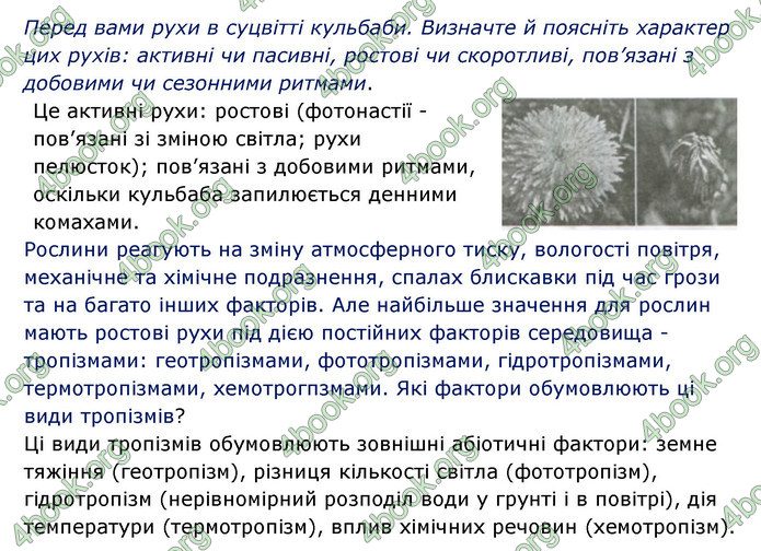 Відповіді Зошит Біологія 6 клас Соболь. ГДЗ