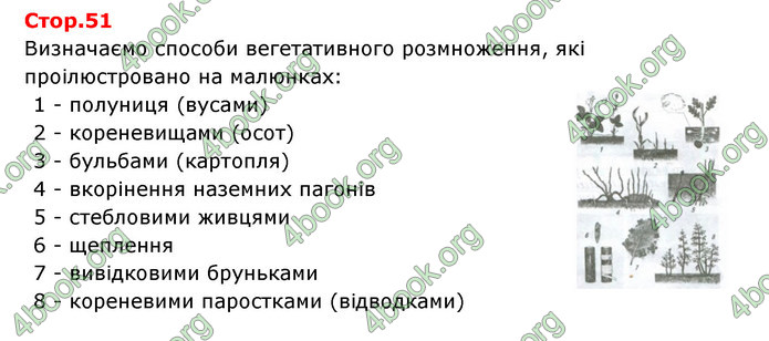 Відповіді Зошит Біологія 6 клас Соболь. ГДЗ