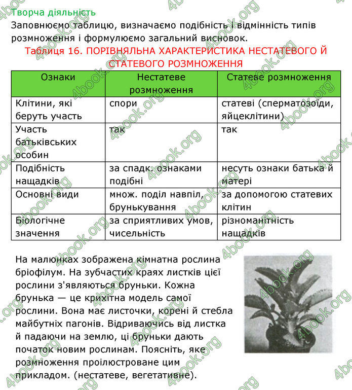 Відповіді Зошит Біологія 6 клас Соболь. ГДЗ